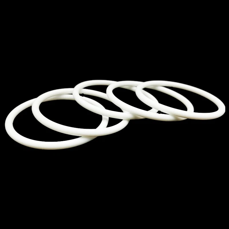 PTFE o-ring (13)