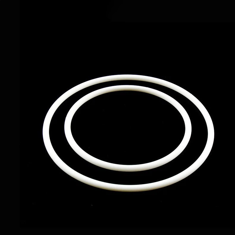 PTFE o-ring (6)